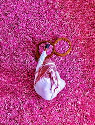 Discovering the Enchantment of Taif Rose Discovering the Enchantment of Taif Rose