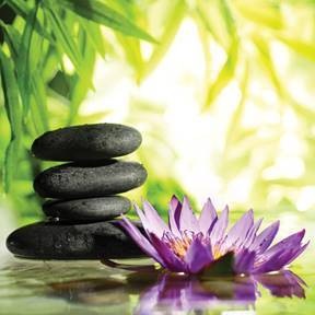 Corporate Relaxation Artwork