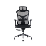 Alpha Executive Mesh Back Chair