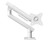 Valor Dynamic Monitor Arm - White 