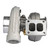 New Genuine BorgWarner S300S039 Turbocharger TUR-100500-BWN