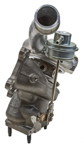 uohojoFL113vwfzrnKf2289__33034