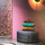 Belte Ottoman | Designed by Elena Salmistraro | My Home Collection