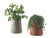 Allium Vase | Outdoor | Designed by Studiopepe | Ethimo