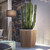 Desert Garden Vase | Outdoor | Designed by Atmosphera Creative Lab | Atmosphera