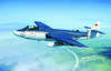 1/48 Seahawk Mk 100/101 Aircraft (D)