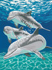 Sunlit Pals (Dolphins) Paint by Number (9"x12")