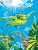 Swimming Turtle Paint by Number (9"x12")