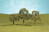 BAC32007  Scenescapes Walnut Trees, 2.5-3.5"" (3)