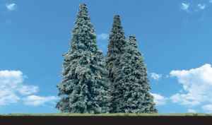 TR3566 Blue Needle Trees 2 - 3.5  (5)