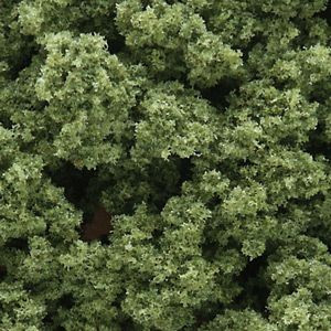 FC145 Bushes Clump Foliage Light Green