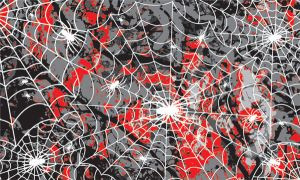 P3983 Spider Web Custom Body Skin