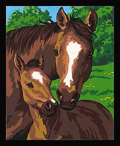Pony & Mother Paint by Number (8"x10")