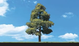 TR3504 Sun Kissed Trees 2 - 3  (4)