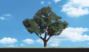 TR3547 Cool Shade Trees 3/4 - 1 1/4  (8)