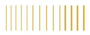 Stripes - Gold
