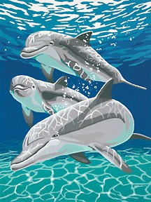 Sunlit Pals (Dolphins) Paint by Number (9"x12")