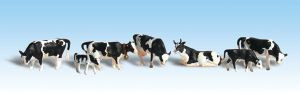 A1863 Holstein Cows HO