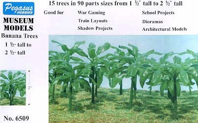 PGH-6509  Banana Trees 1-1/2"-2-1/2" (15)
