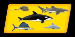 Scene-A-Rama Scene Setters Marine Life