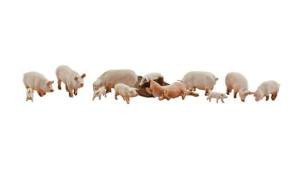 A2218 Yorkshire Pigs N