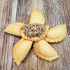 Mrs Wheat's Mini Spicy Meat Pies 100ct 1oz, close-up of mini savory meat pies filled with spicy meat mixture on a rustic wooden surface.