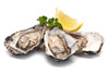 JV Foods Freshly Shucked Oysters (Quart), fresh oysters served with a lemon wedge and parsley garnish.