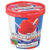 Sno-Balls To Go - Watermelon - 16oz Pint, red, blue, and white container with image of watermelon-flavored snow cone and a snow cone on the top lid.