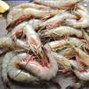 JV Foods Gulf Shrimp Head-on 13/15 Ct 5lb IQF, raw large-sized shrimp with shells and heads intact, displayed on a wooden surface.