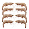JV Foods Gulf Shrimp Head-on 13/15 Ct 5lb IQF, frozen raw shrimp with shells, arranged in a neat pattern on a white background.