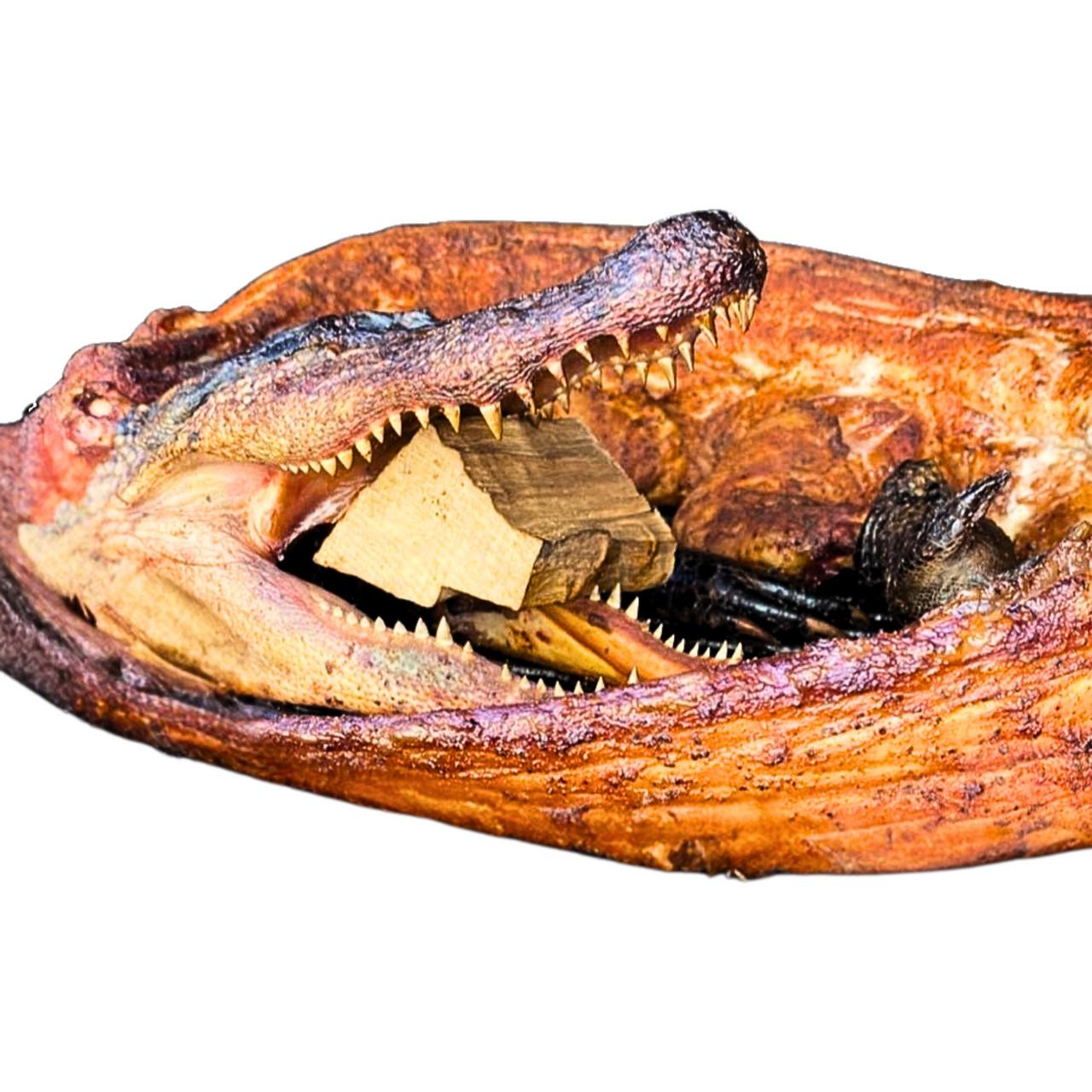 Whole Skinned Alligator for Sale | Small–5XL | Creole.net