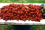 Let's Learn About What You’ll Need to Boil Crawfish