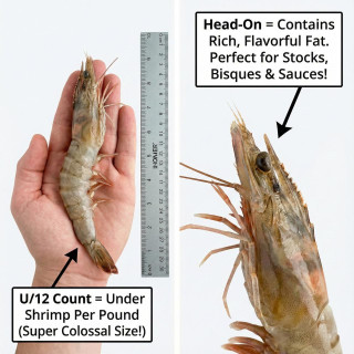 JV Foods Gulf Shrimp Head-on U/12 Ct 5lb IQF, fresh raw shrimp with head, detailed close-up of shrimp and ruler for size reference.