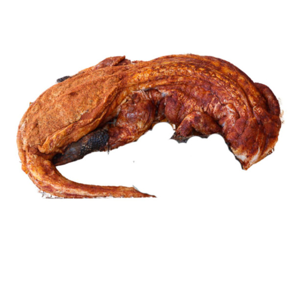 Gator World Headless Whole Skinned Alligator Medium, cooked alligator meat with crispy, seasoned skin and exposed meat, isolated on white background.