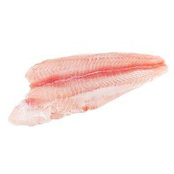 JV Foods Speckled Trout 1lb, fresh raw speckled trout fillet with light pink flesh on a plain white background.
