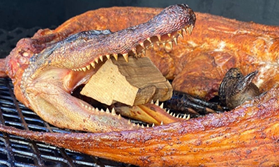 Shop Gator Meat