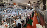 Food & Beverage Production Floors & Walls