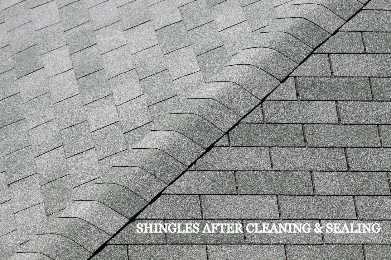 Shingle Roof Coating | Asphalt Shingle Roof Sealer