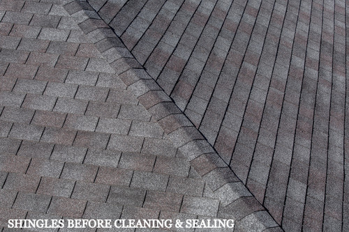 ARMOR SHINGLE ROOF COATING