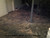 BASEMENT FLOOR AFTER VCT TILE REMOVED
