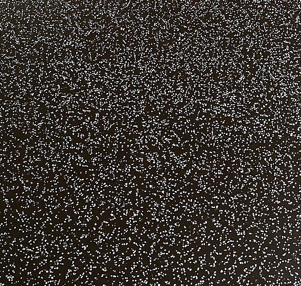 Armor Granite Pattern 11 — Black epoxy with metallic silver flakes