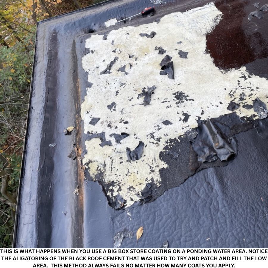 BIG BOX STORE ROOF CEMENT FAILURE IN PONDING WATER ROOF AREA