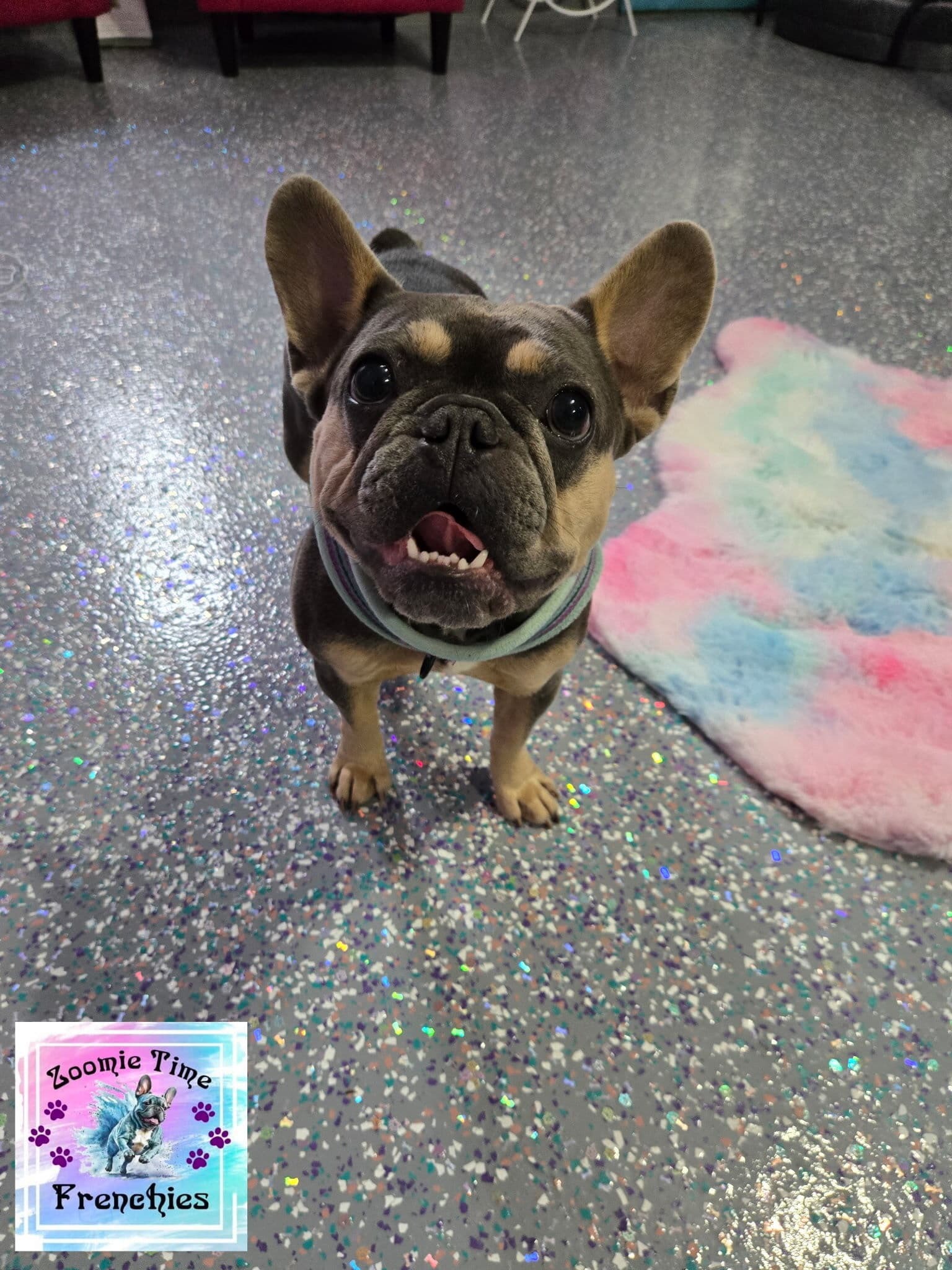 Armor Chip epoxy floor coating with custom flake colors