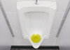 P-SCREEN CITRUS - Vectair P-Screen® - Citrus Mango - A Urinal Screen that is Suitable for Both Traditional and Waterless Systems