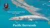 Vengeance Weedless Swimbait head - Betty's Baitfish Barracuda