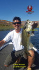 Phenix Vibrator Jig - Green Pumpkin Shad with Black Zinc Blade - Eddie Morales