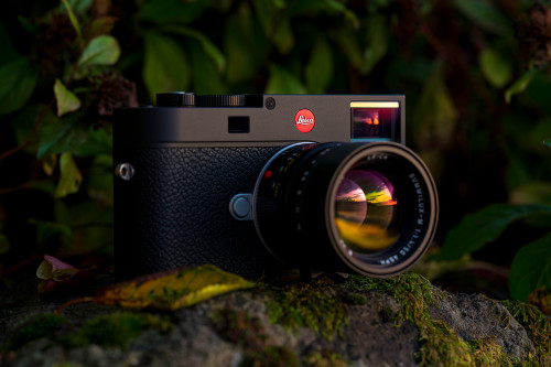 Leica M camera with lens photographed outdoors in natural light