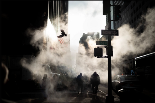 Street Photography with Phil Penman, New York