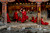 Steve McCurry: sholin monks practicing martial arts