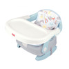 Deluxe Fold and Go Booster Seat - Hello Sunshine